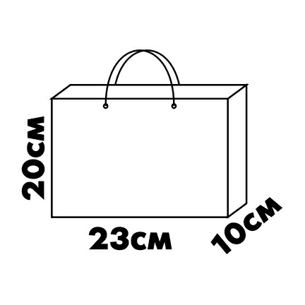 Картонные Пакеты 23х10х20см